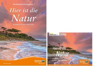 Emag-mit-PrintCover-310x220